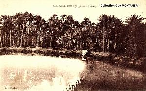 Colomb bechar 027- Collection Montaner_2